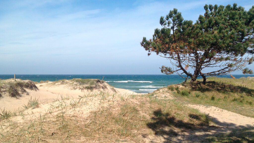 Natur Asserbo