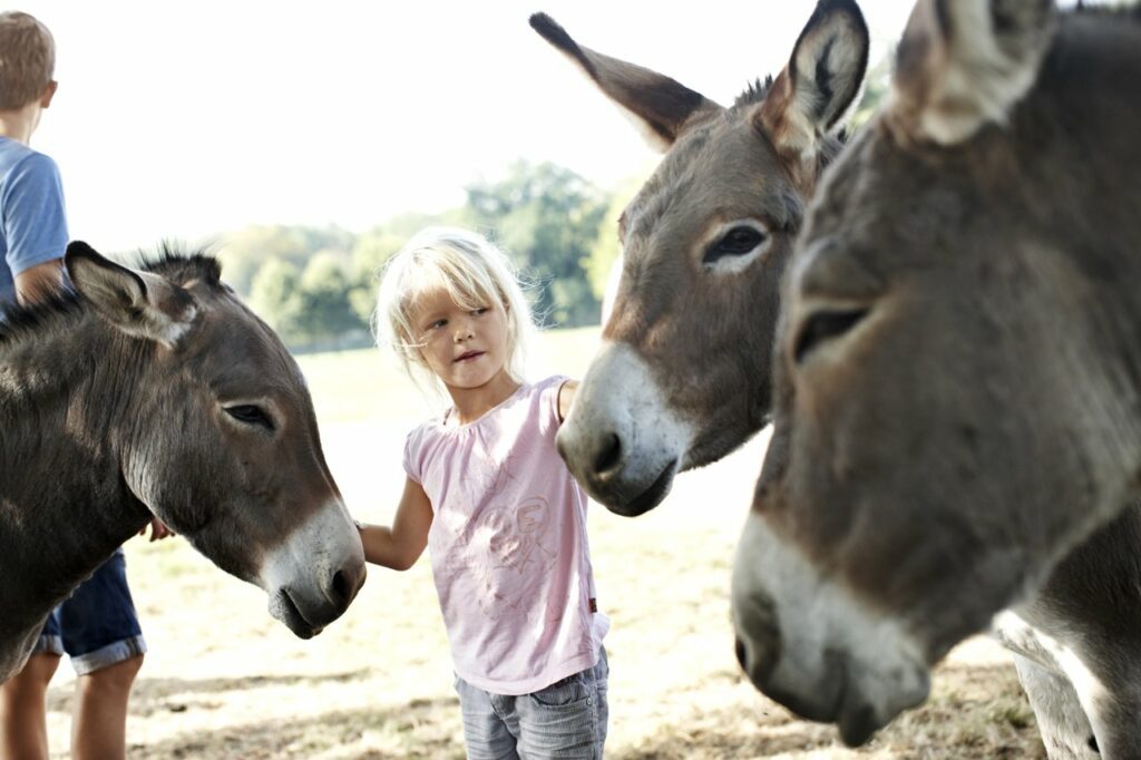 Knuthenborg Safaripark