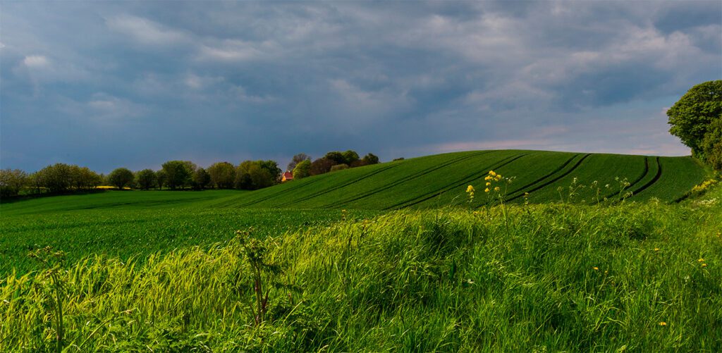 Odsherred Natur