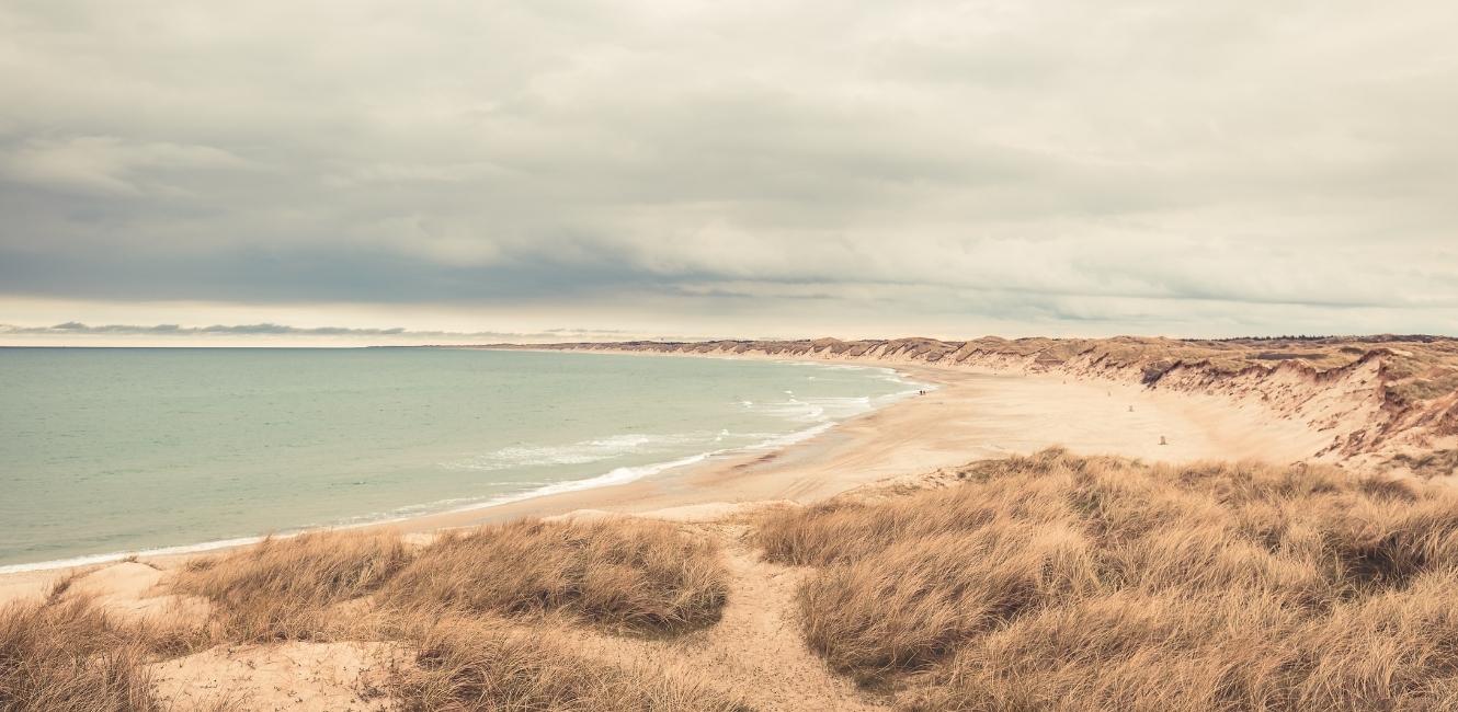 Vendsyssels natur