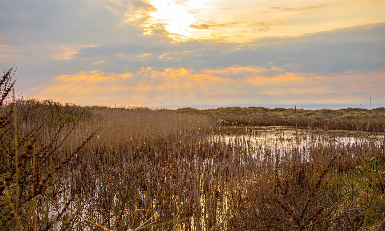 Fanø