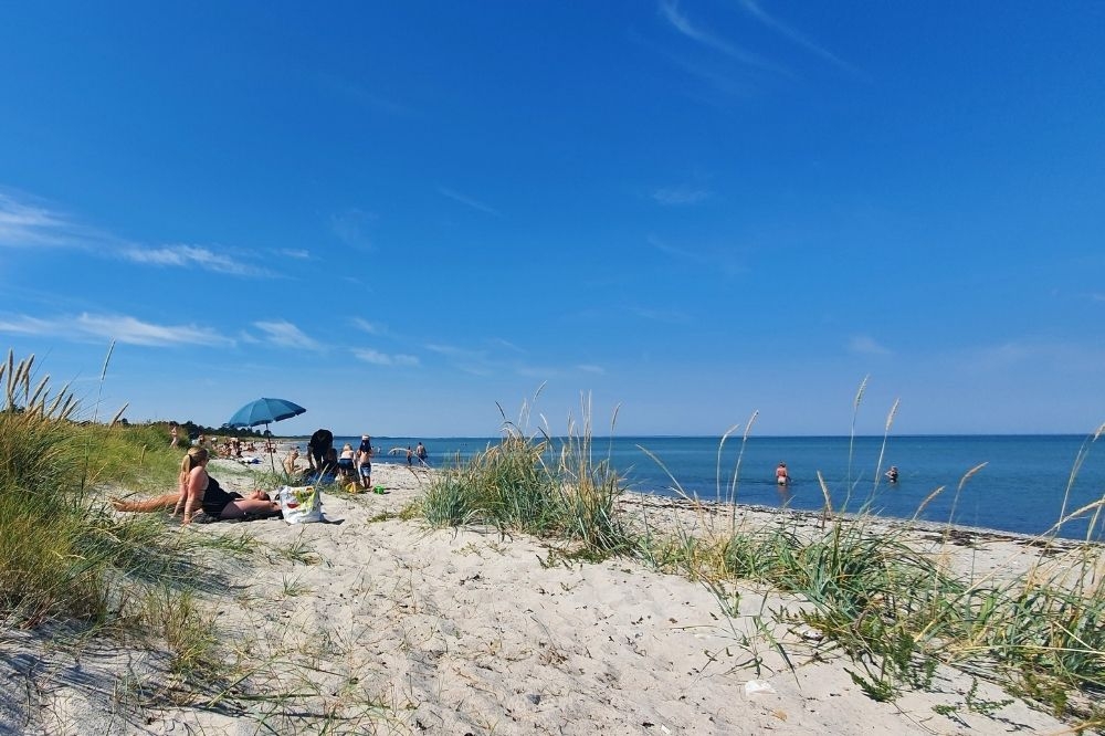 Den vackra stranden i närheten av lyxhus 320 vid Østjylland.