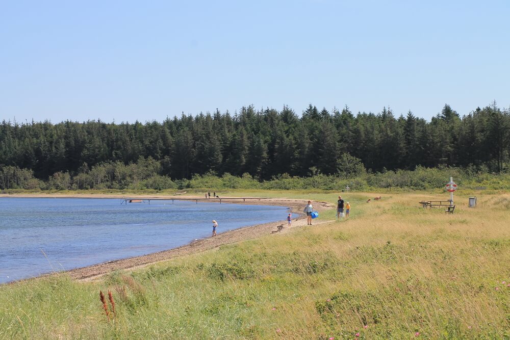 Stranden i närheten av lyxhus 373.