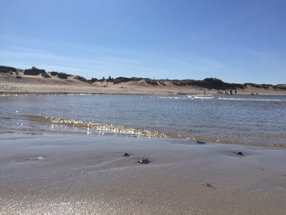 Den vackra stranden i närheten av lyxhus 406 vid Nordsjälland.
