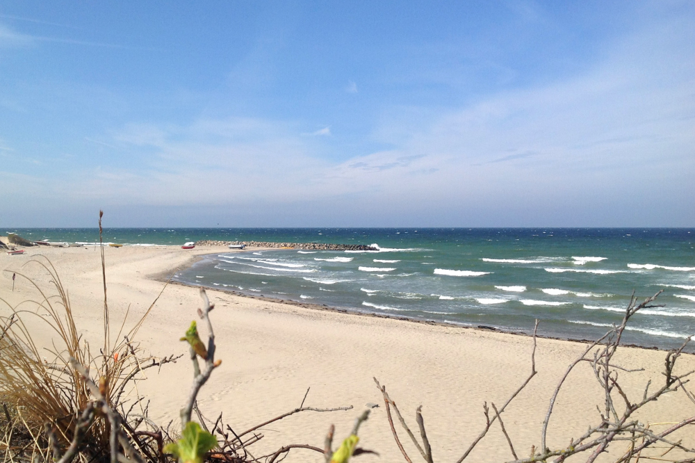 Den vackra stranden i närheten av lyxhus 436 vid Nordsjälland.