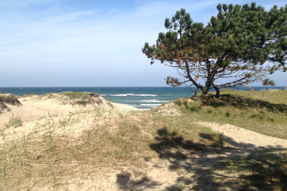 Stranden i närheten av lyxhus 436.
