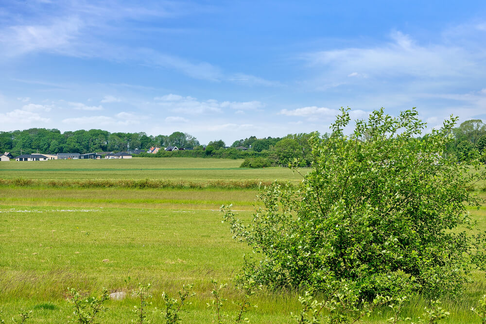 Härlig sommarstuga nr 443 