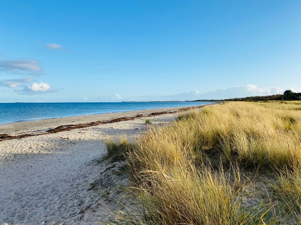 Den vackra stranden i närheten av lyxhus 489 vid Østjylland.