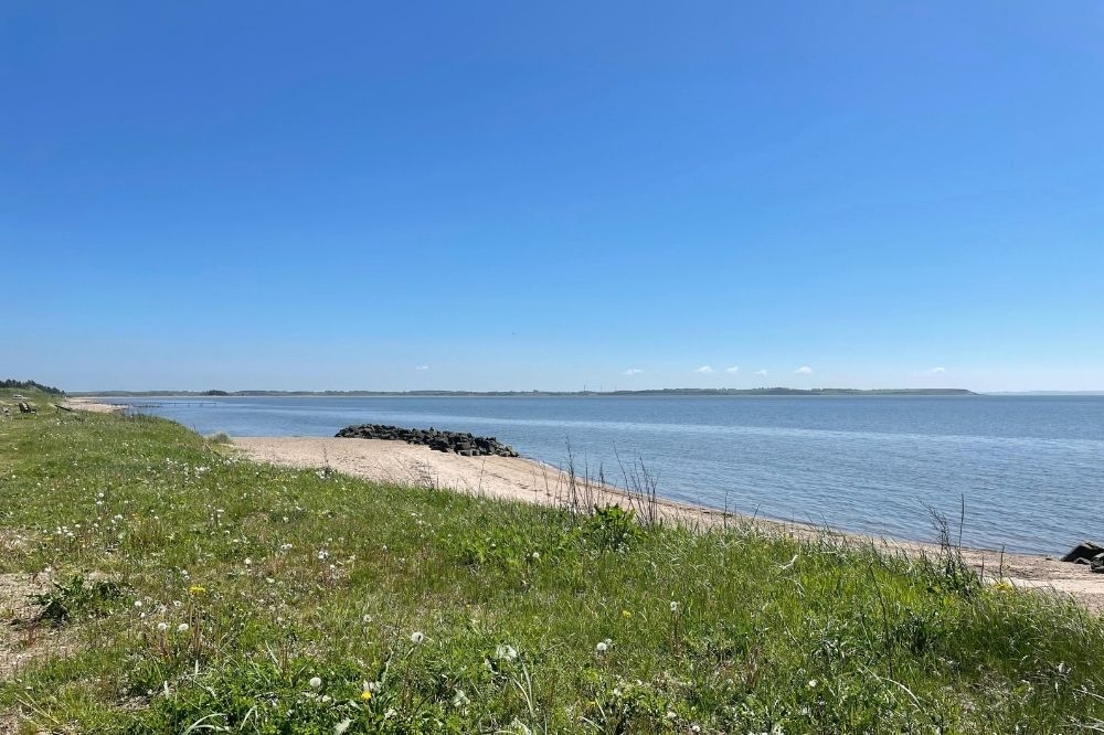 Den vackra stranden i närheten av lyxhus 547 vid Limfjorden.