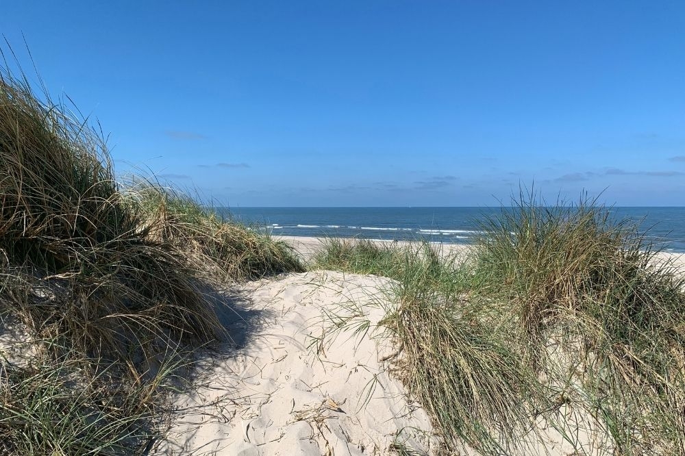 Besök lyxhus 554 i Vestjylland.