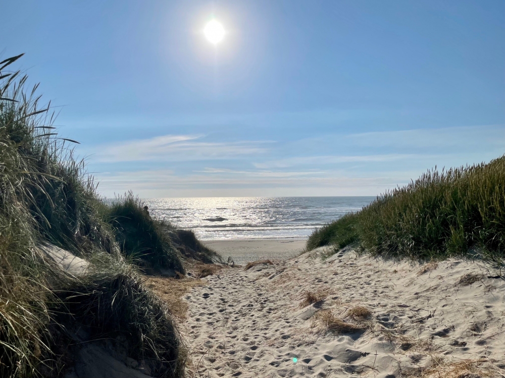 Den vackra stranden i närheten av lyxhus 557 vid Vestjylland.