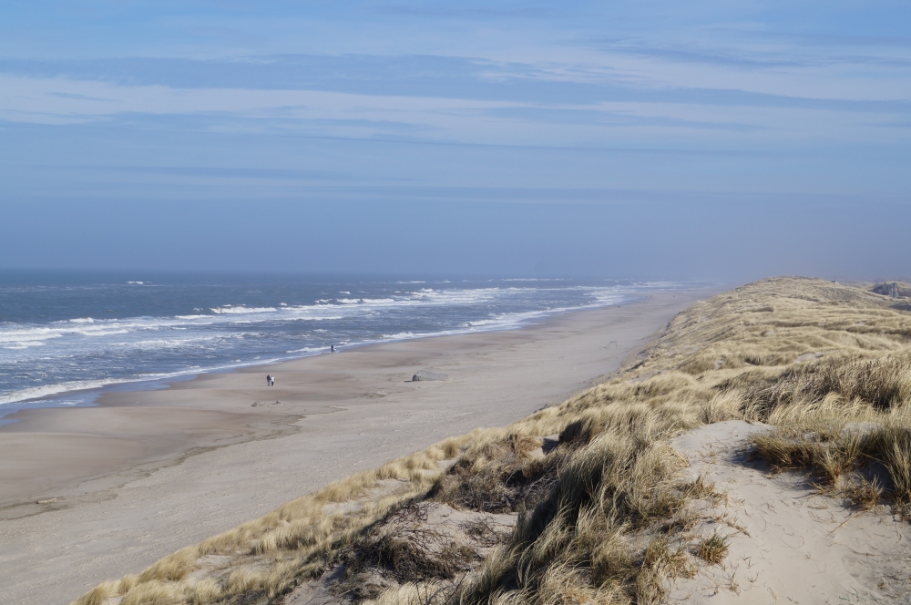 Stranden i närheten av lyxhus 557.