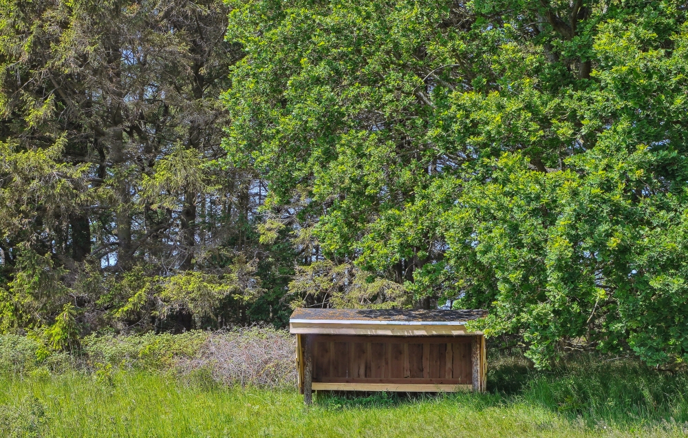 Stort utbud av utomhusaktiviteter vid lyxhus nr 581 i  Østjylland.
