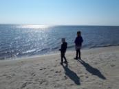 Stranden i närheten av lyxhus 596 i Sydjylland bjuder in till en promenad.