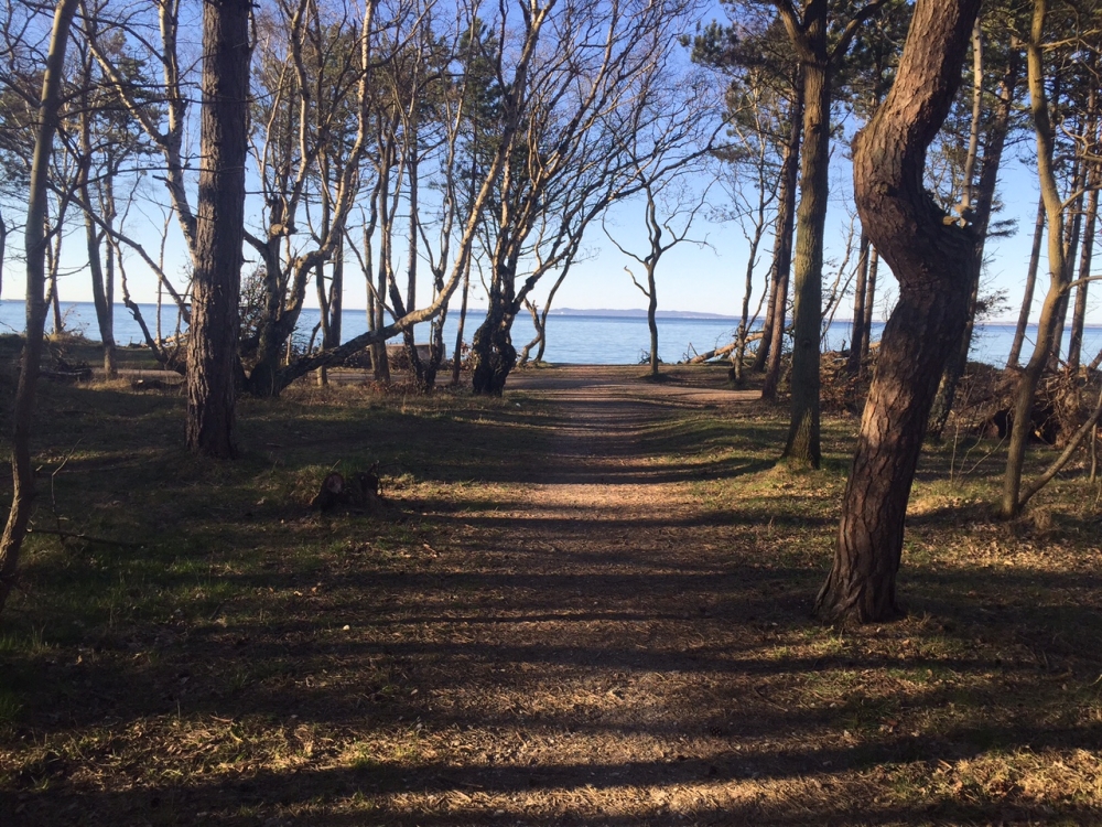 Stranden i närheten av lyxhus 582.