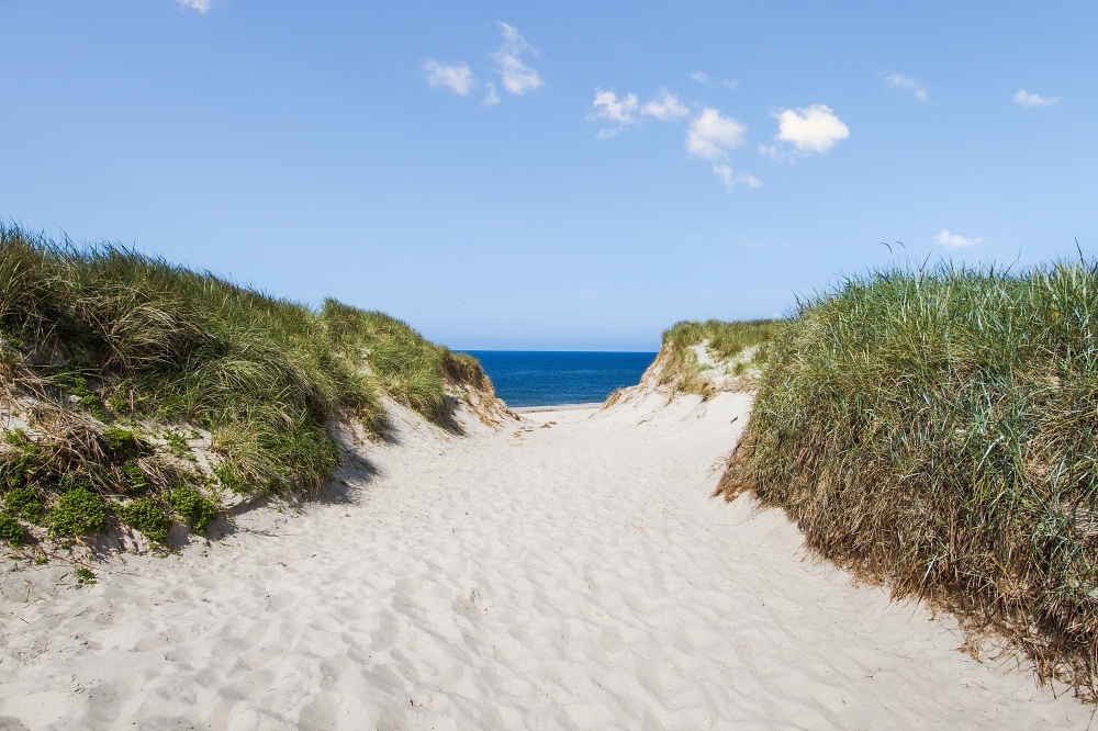 Stranden i närheten av lyxhus 585.