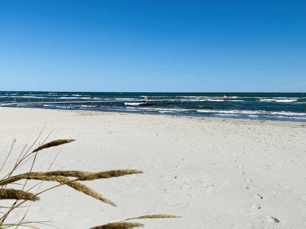 Stranden i närheten av lyxhus 602.