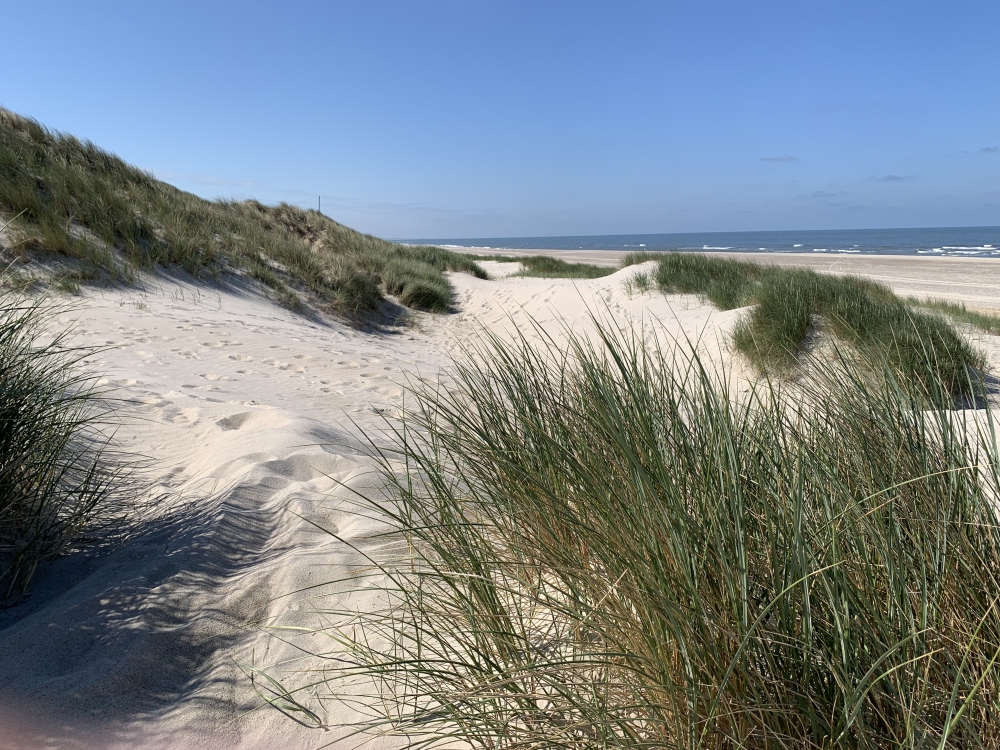Stranden i närheten av lyxhus 605.