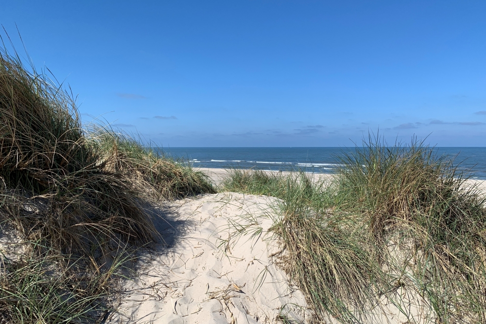 Den vackra stranden i närheten av lyxhus 605 vid Vestjylland.