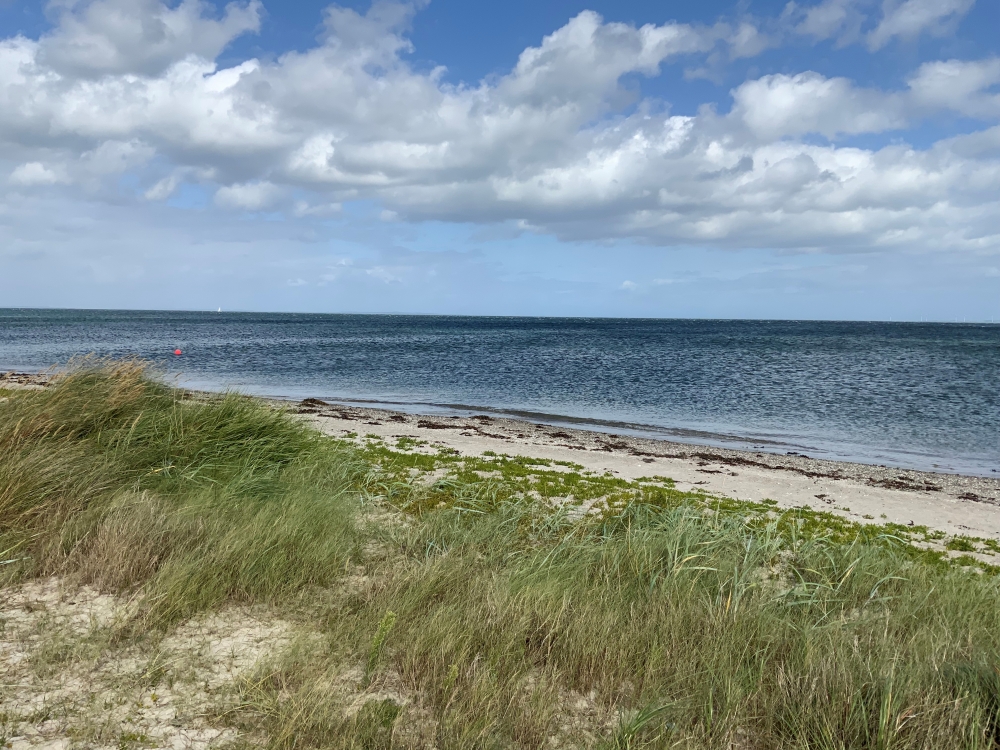 Den vackra stranden i närheten av lyxhus 606 vid Østjylland.