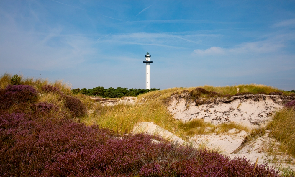 Besök lyxhus 622 i Bornholm.