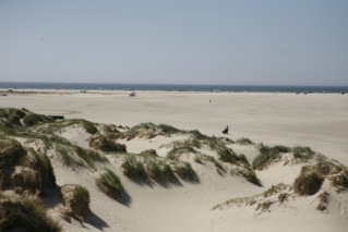 Stranden i närheten av lyxhus 624.