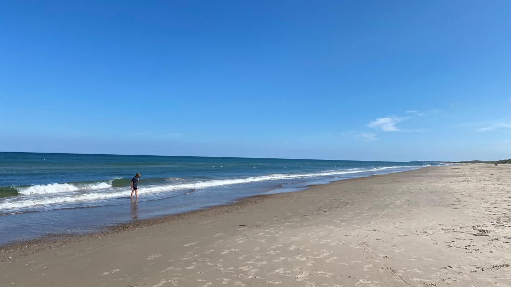 Stranden i närheten av lyxhus 651.