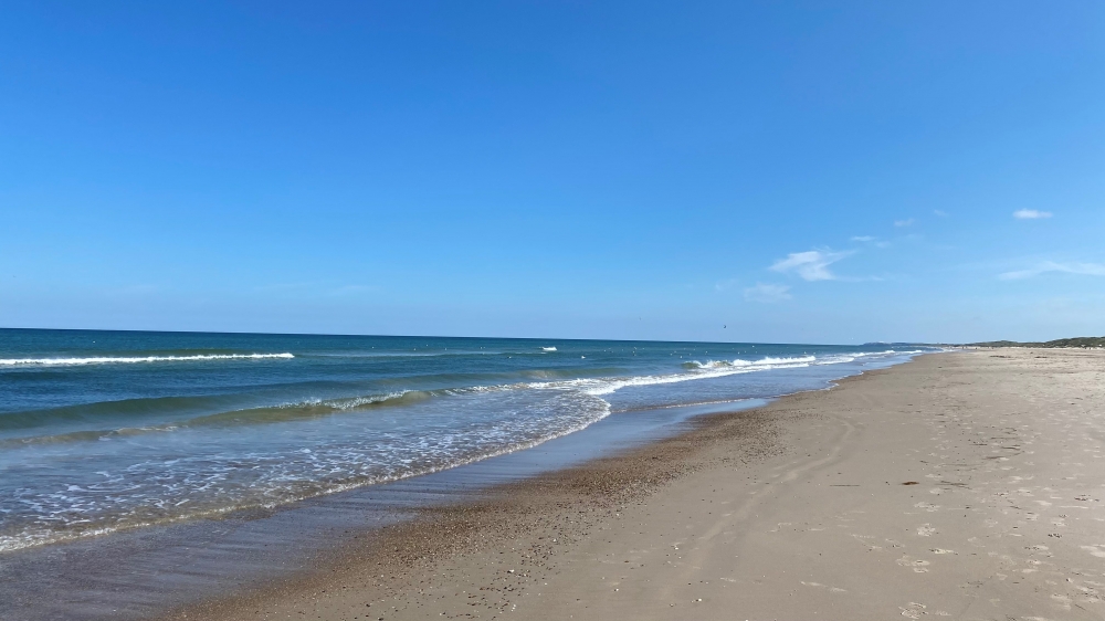 Den vackra stranden i närheten av lyxhus 651 vid Nordjylland.