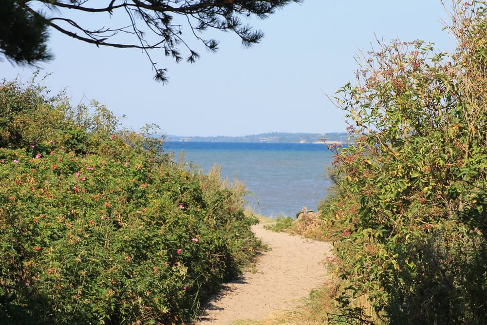Stranden i närheten av lyxhus 242 i Sydjylland bjuder in till en promenad.