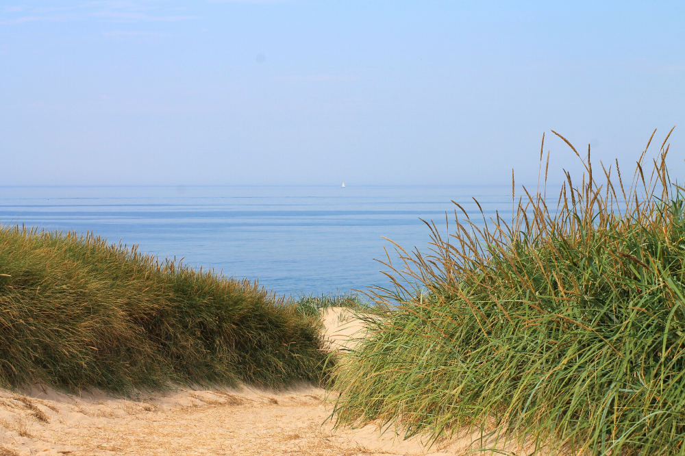 Den vackra stranden i närheten av lyxhus 293 vid Vestjylland.
