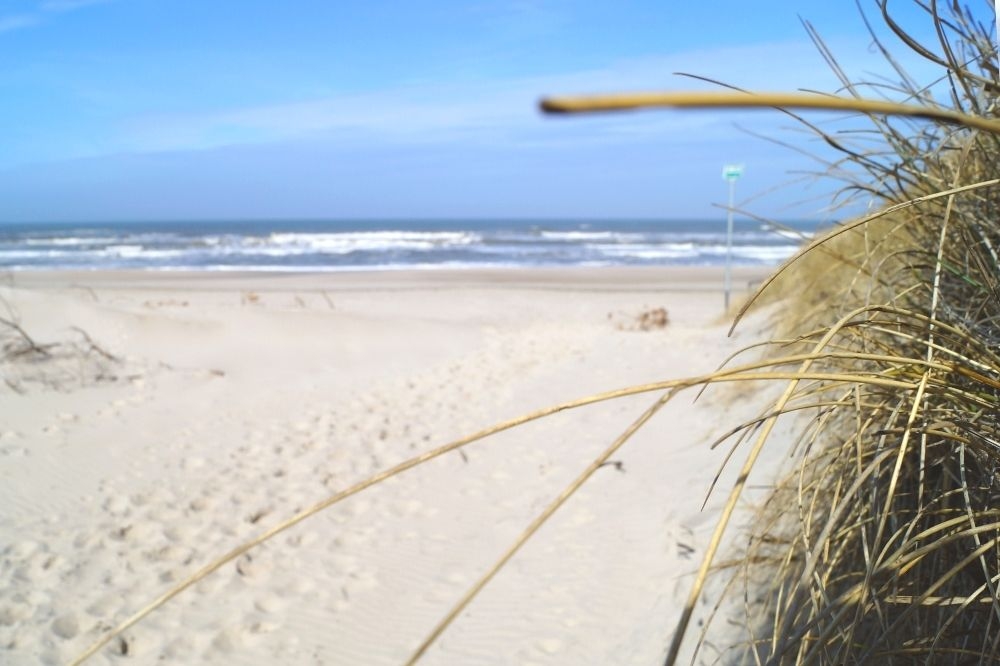 Stranden i närheten av lyxhus 145 i Vestjylland bjuder in till en promenad.