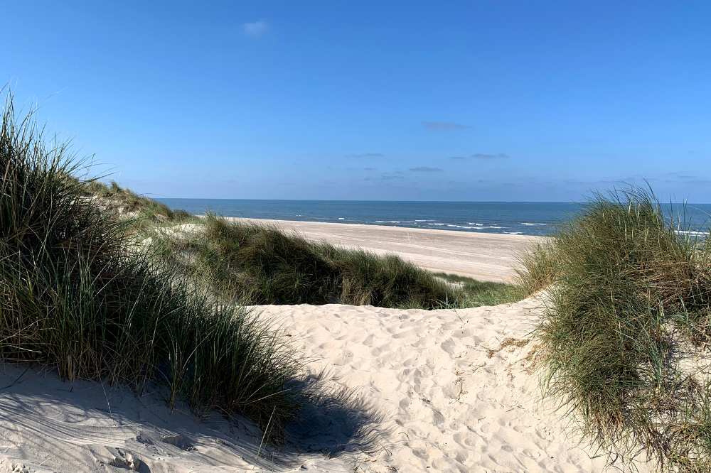 Stranden i närheten av lyxhus 247.